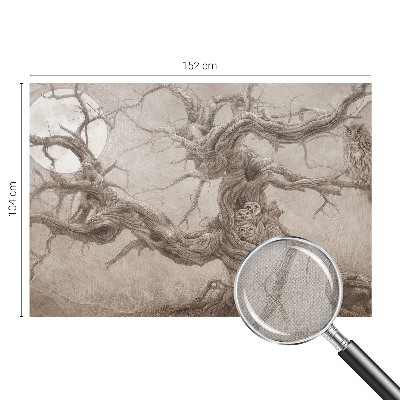 Fototapeta za otroško sobo Nočne ptice