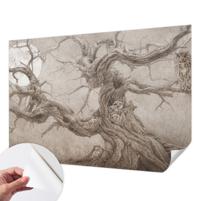 Fototapeta za otroško sobo Nočne ptice