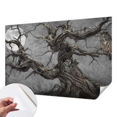Samolepilna fototapeta z motivom skrivnostne sove