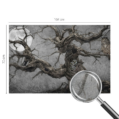 Samolepilna fototapeta Skrivnostna sova