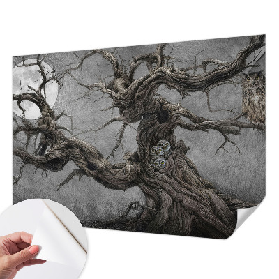 Samolepilna fototapeta z motivom skrivnostne sove