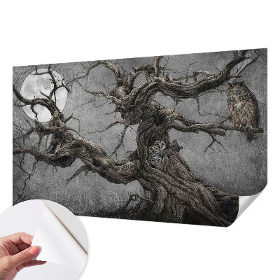 Samolepilna fototapeta Skrivnostna sova