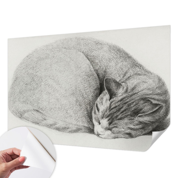 3D fototapeta s tiskom zvite mačke