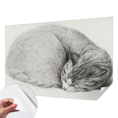 3D fototapeta Zvita mačka