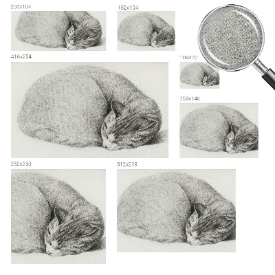 3D fototapeta Zvita mačka