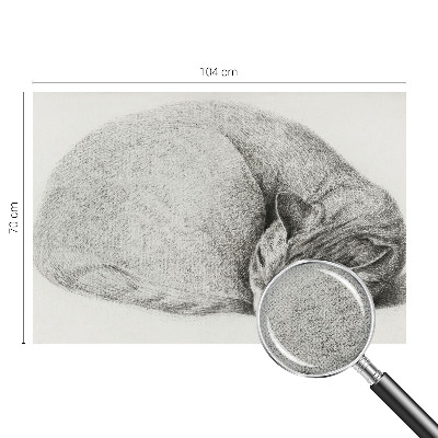 3D fototapeta s tiskom zvite mačke