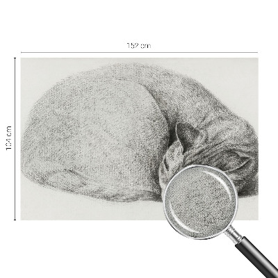 3D fototapeta Zvita mačka