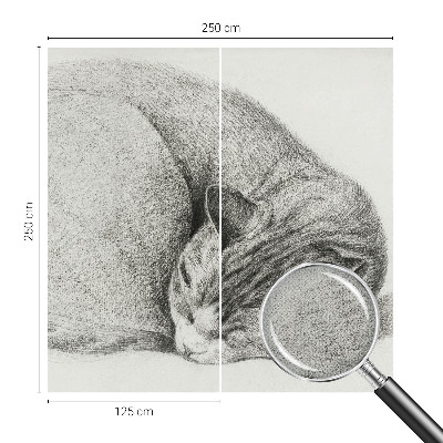 3D fototapeta s tiskom zvite mačke