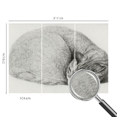 3D fototapeta s tiskom zvite mačke