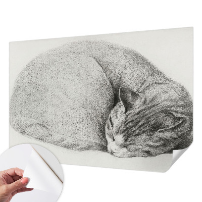 3D fototapeta s tiskom zvite mačke