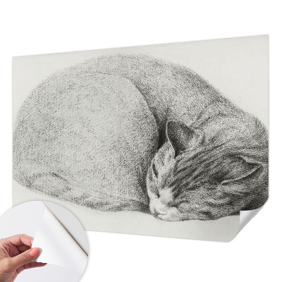 3D fototapeta s tiskom zvite mačke