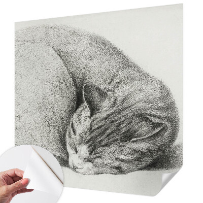 3D fototapeta Zvita mačka