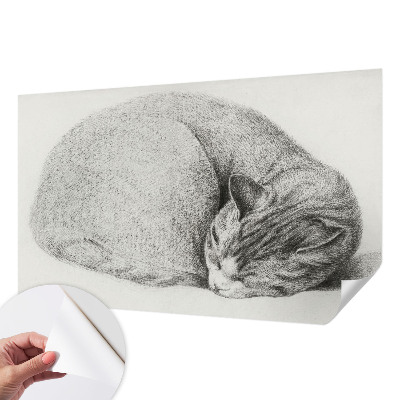 3D fototapeta s tiskom zvite mačke