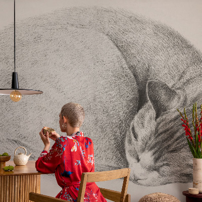 3D fototapeta Zvita mačka