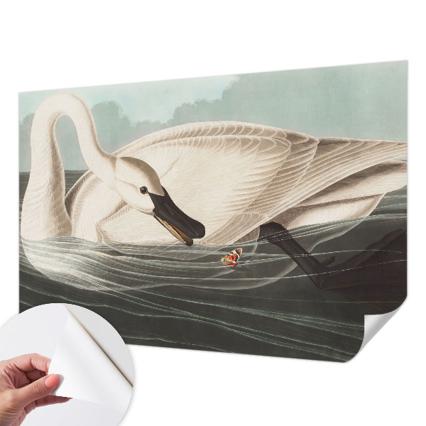 Samolepilna fototapeta Harmonija narave