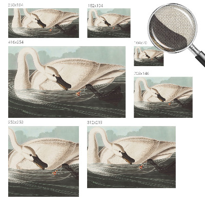 Samolepilna fototapeta Harmonija narave