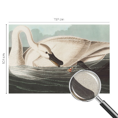 Samolepilna fototapeta Harmonija narave