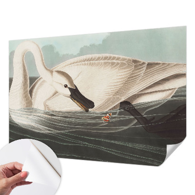 Samolepilna fototapeta Harmonija narave