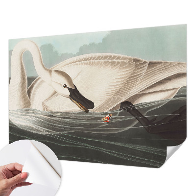 Samolepilna fototapeta Harmonija narave