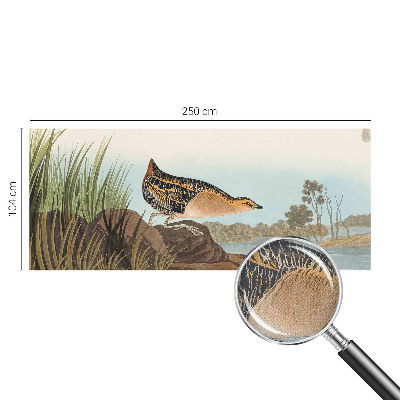 3D fototapeta Naravni prizor