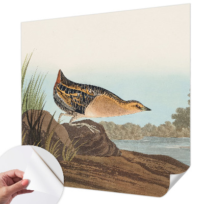 3D fototapeta Naravni prizor