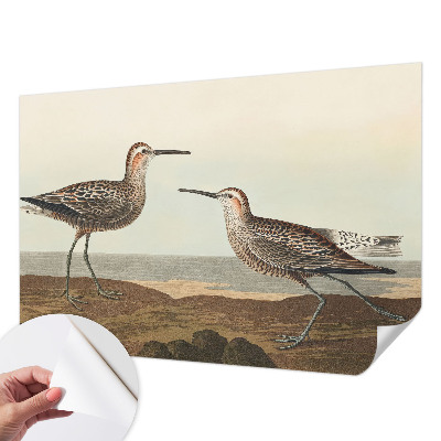 Fototapeta za otroško sobo Ptičje silhuete