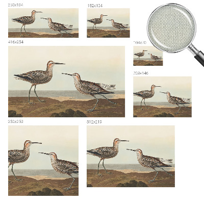 Fototapeta za otroško sobo Ptičje silhuete