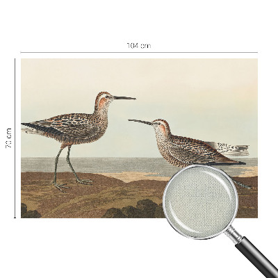 Fototapeta za otroško sobo Ptičje silhuete