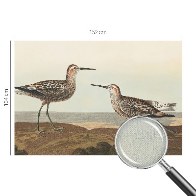 Fototapeta za otroško sobo Ptičje silhuete