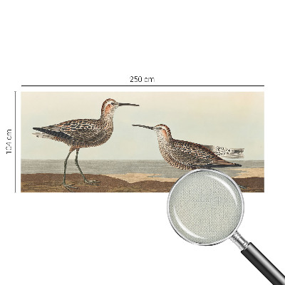 Fototapeta za otroško sobo Ptičje silhuete