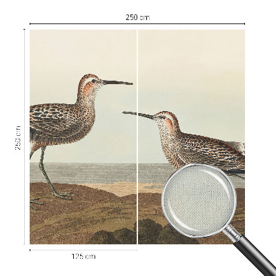 Fototapeta za otroško sobo Ptičje silhuete