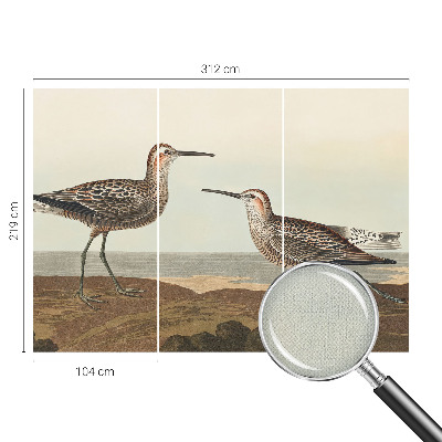 Fototapeta za otroško sobo Ptičje silhuete