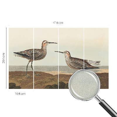 Fototapeta za otroško sobo Ptičje silhuete