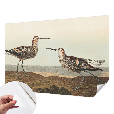 Fototapeta za otroško sobo Ptičje silhuete