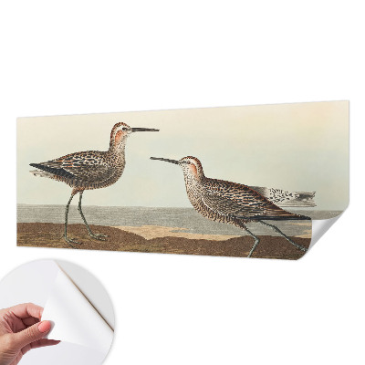 Fototapeta za otroško sobo Ptičje silhuete