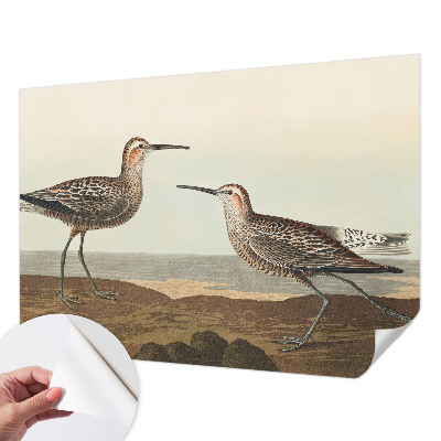 Fototapeta za otroško sobo Ptičje silhuete