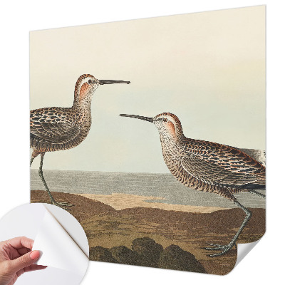 Fototapeta za otroško sobo Ptičje silhuete