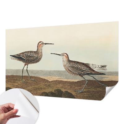 Fototapeta za otroško sobo Ptičje silhuete