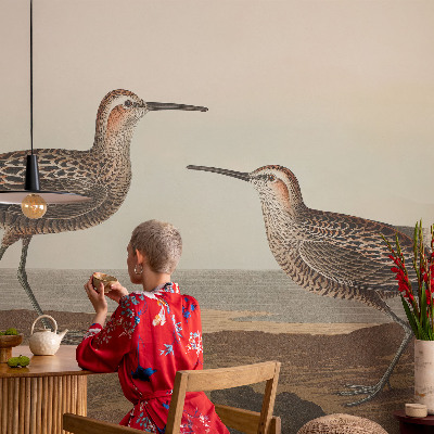 Fototapeta za otroško sobo Ptičje silhuete