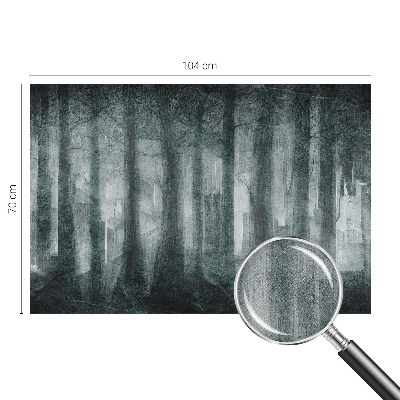 Samolepilna fototapeta za spalnico Skrivnostni gozd