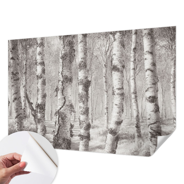 Samolepilna fototapeta za spalnico z motivom brezovega gozda