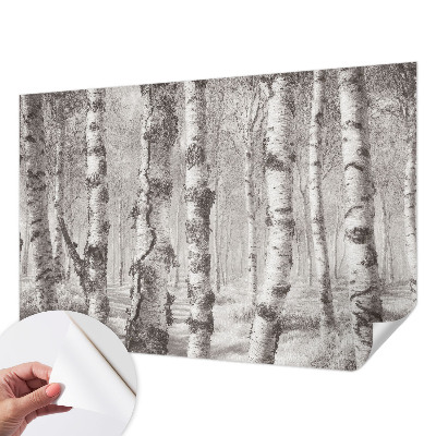 Samolepilna fototapeta za spalnico z motivom brezovega gozda