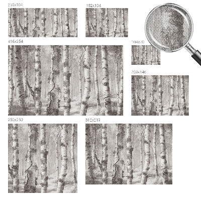 Samolepilna fototapeta za spalnico z motivom brezovega gozda