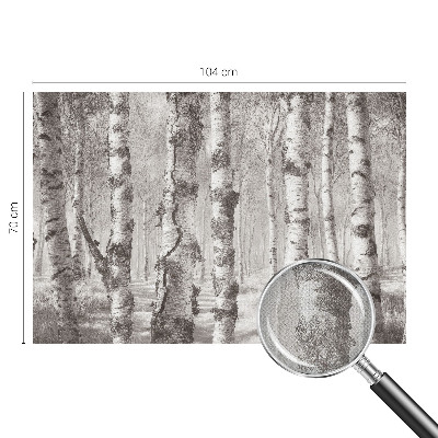 Samolepilna fototapeta za spalnico Brezov gozd