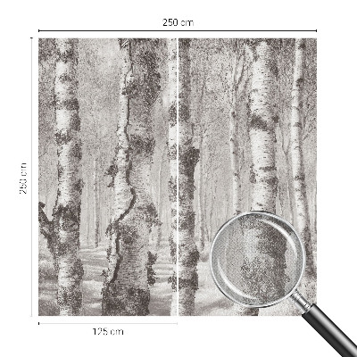 Samolepilna fototapeta za spalnico z motivom brezovega gozda