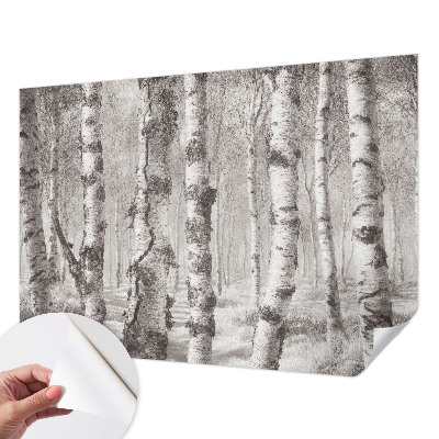 Samolepilna fototapeta za spalnico z motivom brezovega gozda
