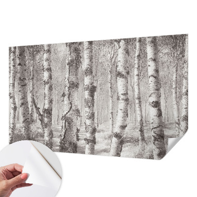 Samolepilna fototapeta za spalnico z motivom brezovega gozda