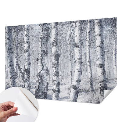 3D fototapeta z motivom zmrznjene narave