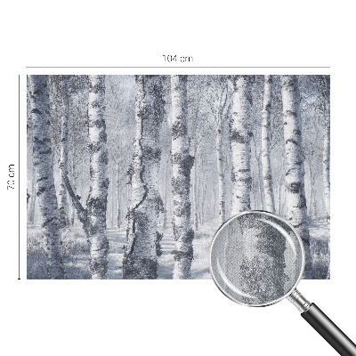 3D fototapeta Zmrznjena narava