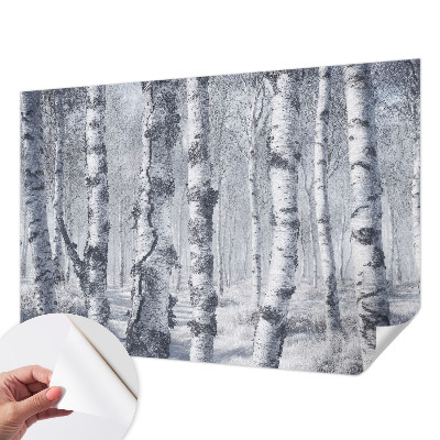 3D fototapeta z motivom zmrznjene narave